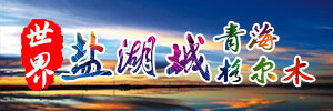 相关图片
