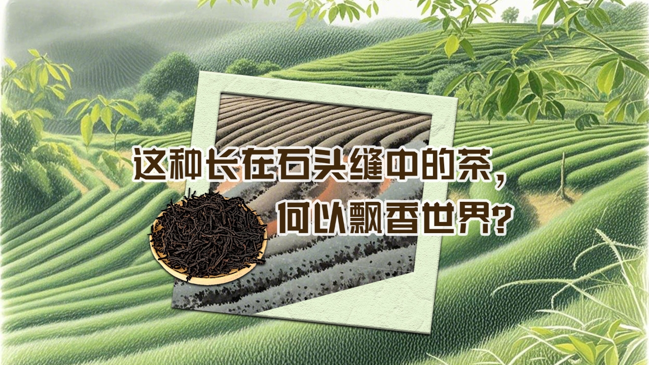 相关图片