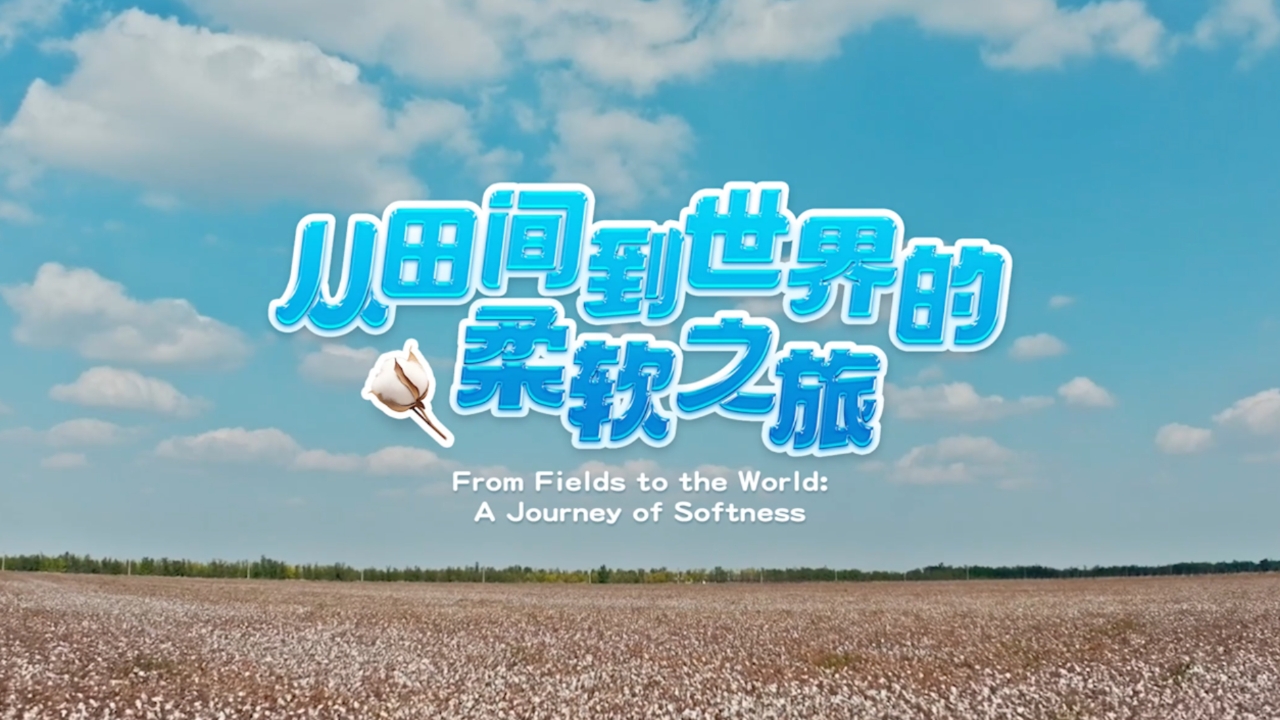 相关图片