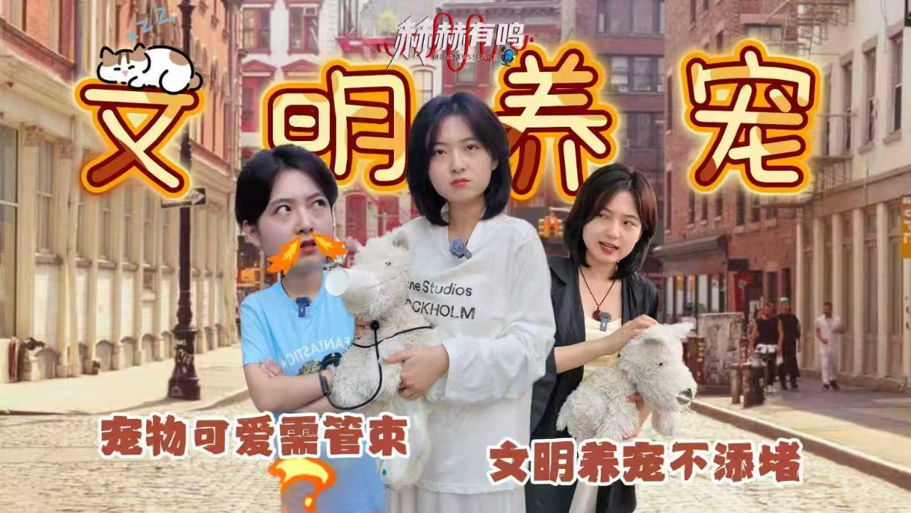 相关图片