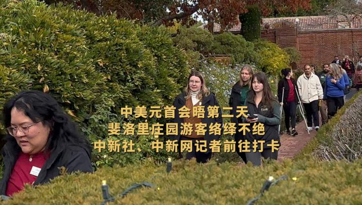 相关图片