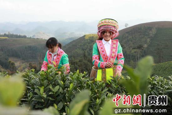 相关图片