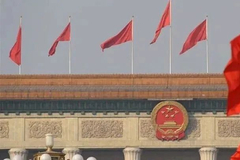 相关图片