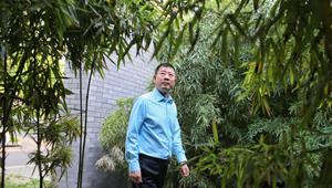 相关图片
