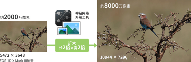 相关图片