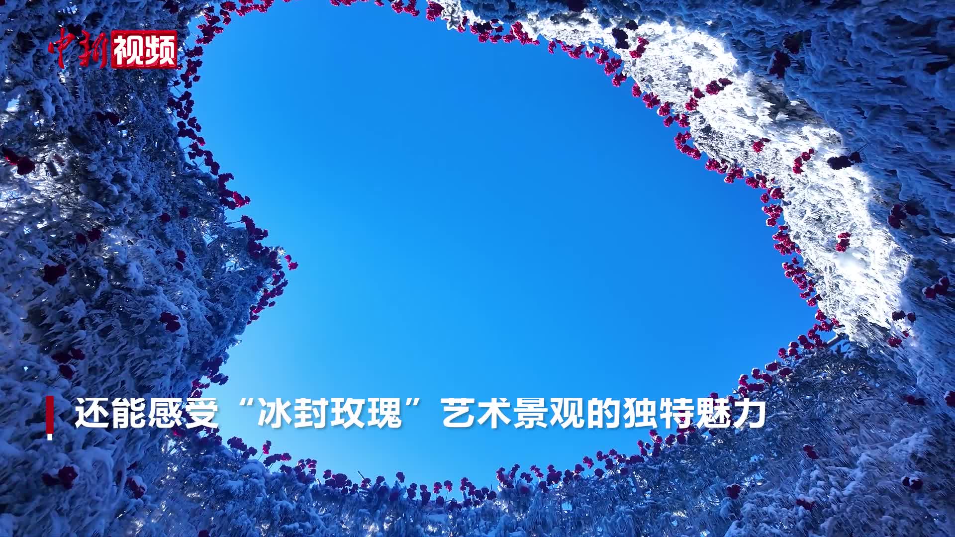 相关图片