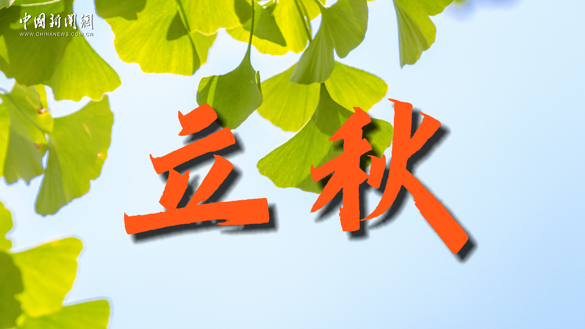 相关图片