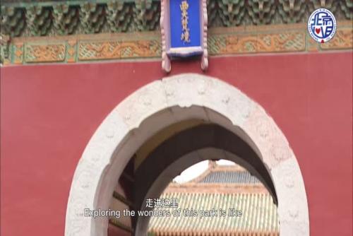 相关图片