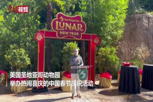 相关图片