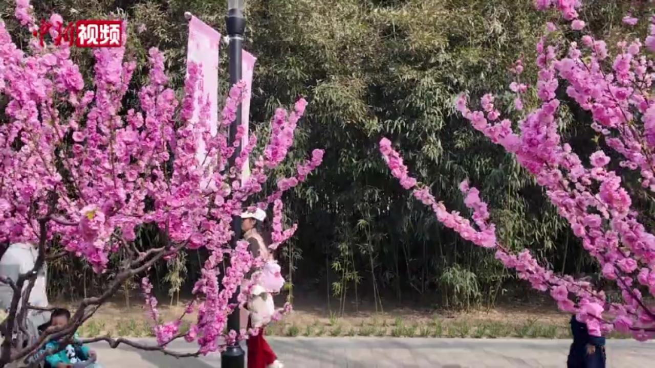 相关图片