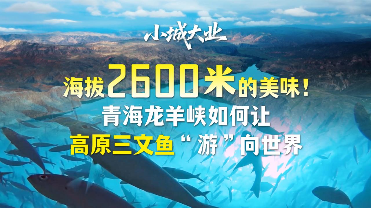 相关图片
