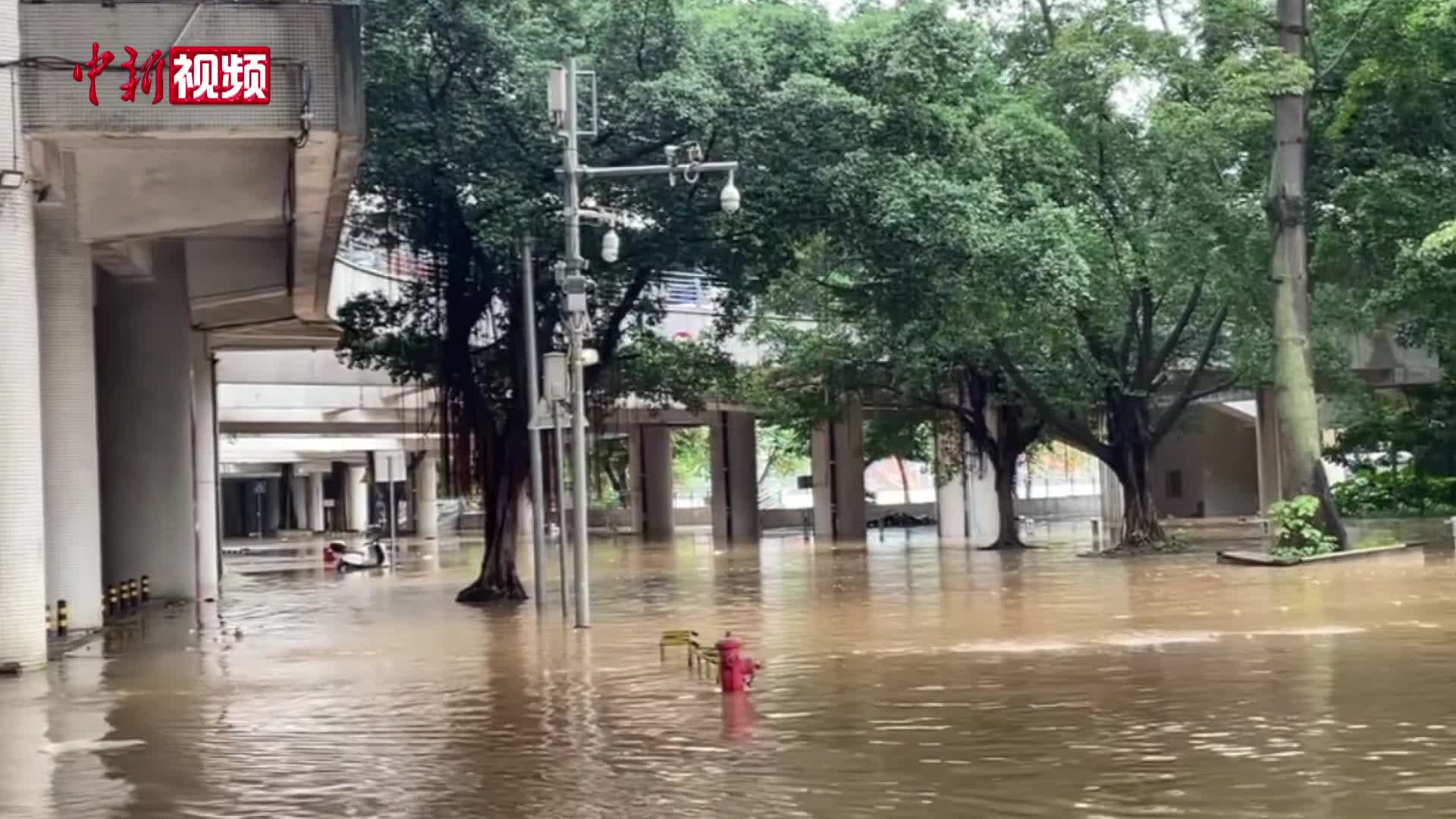 相关图片