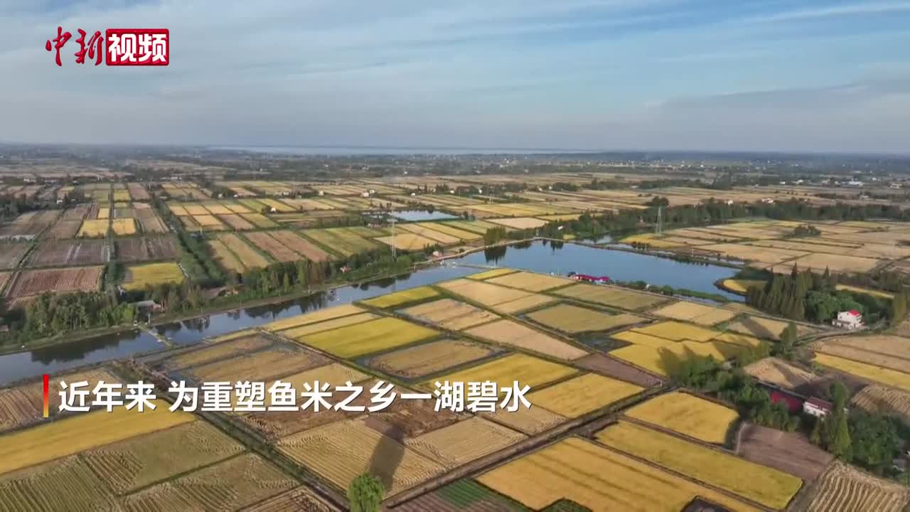 相关图片