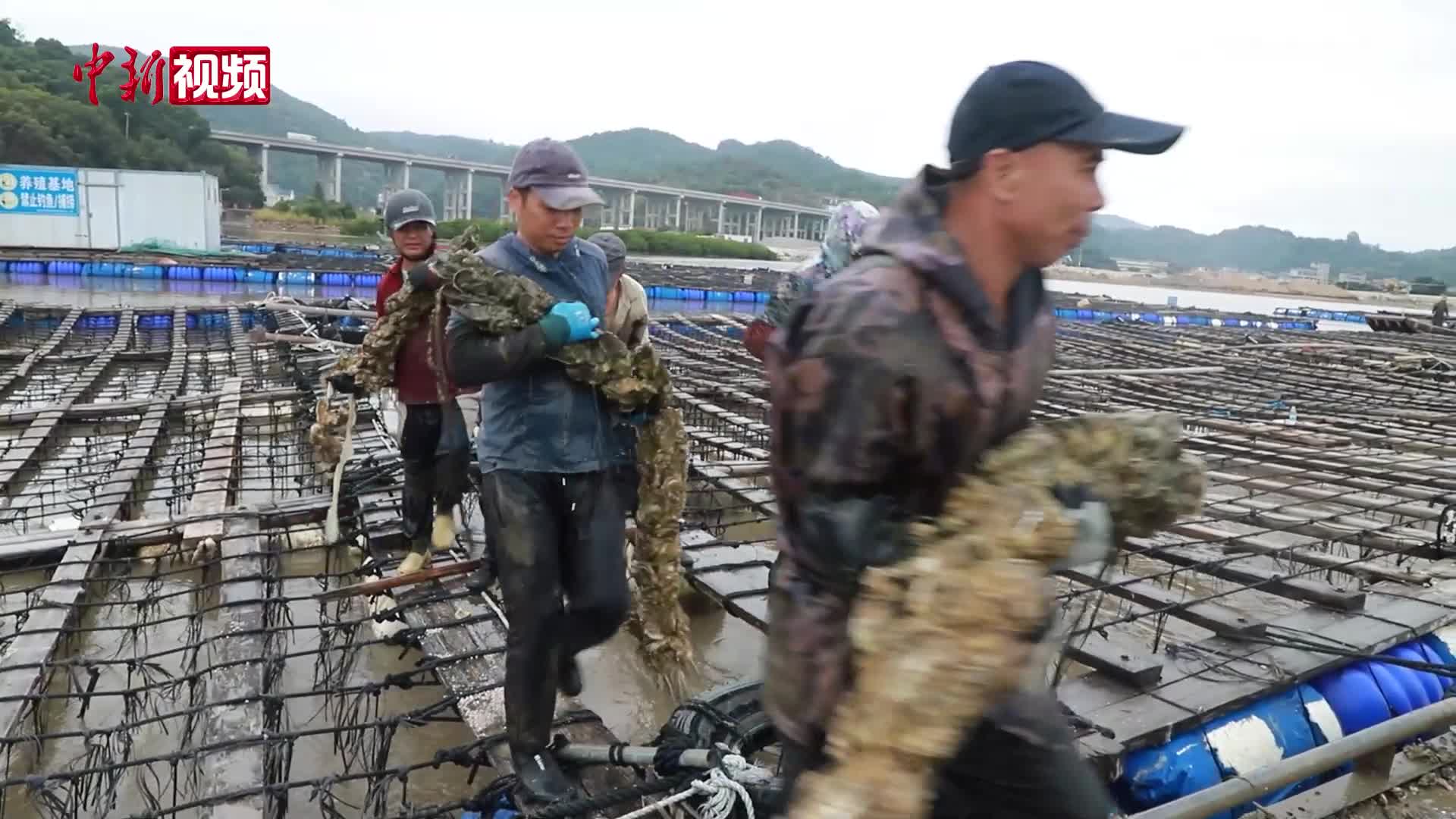 相关图片