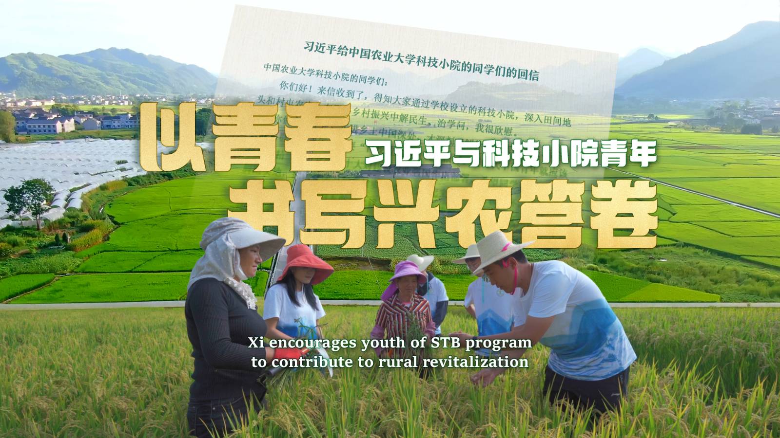 相关图片