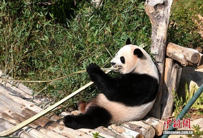相关图片