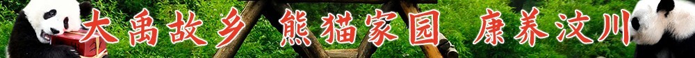 相关图片