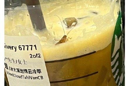 相关图片