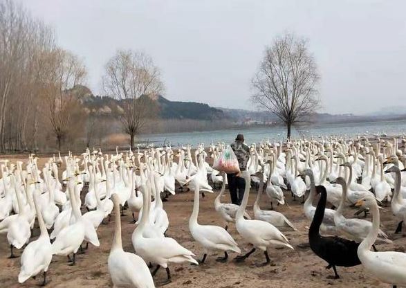 相关图片