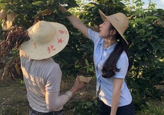 相关图片