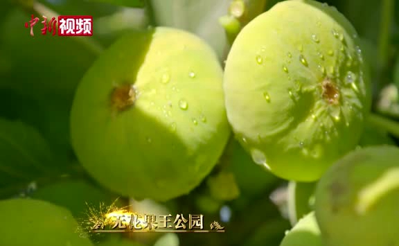 相关图片