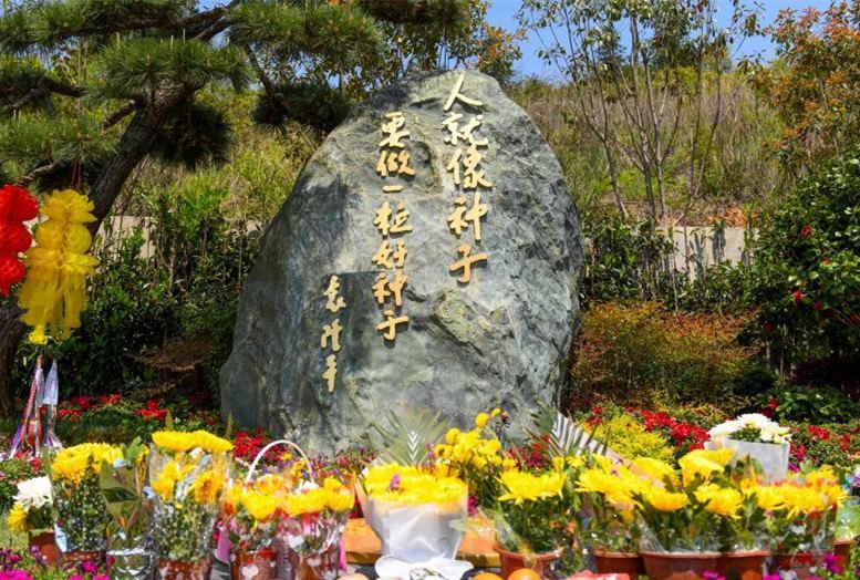 相关图片