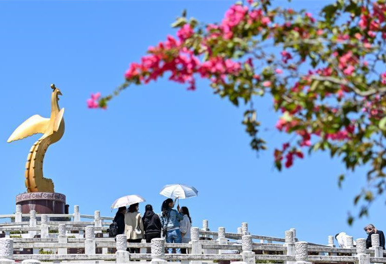 相关图片