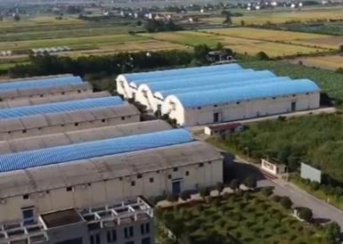 相关图片