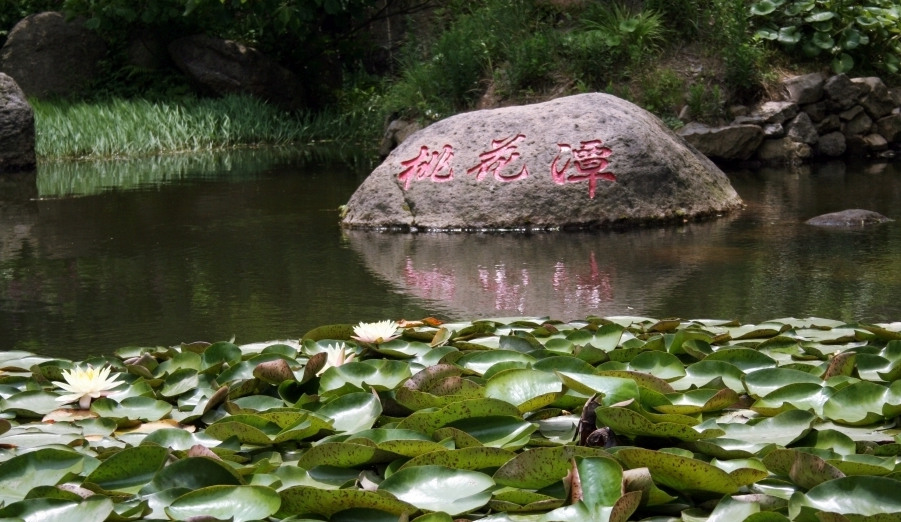 相关图片
