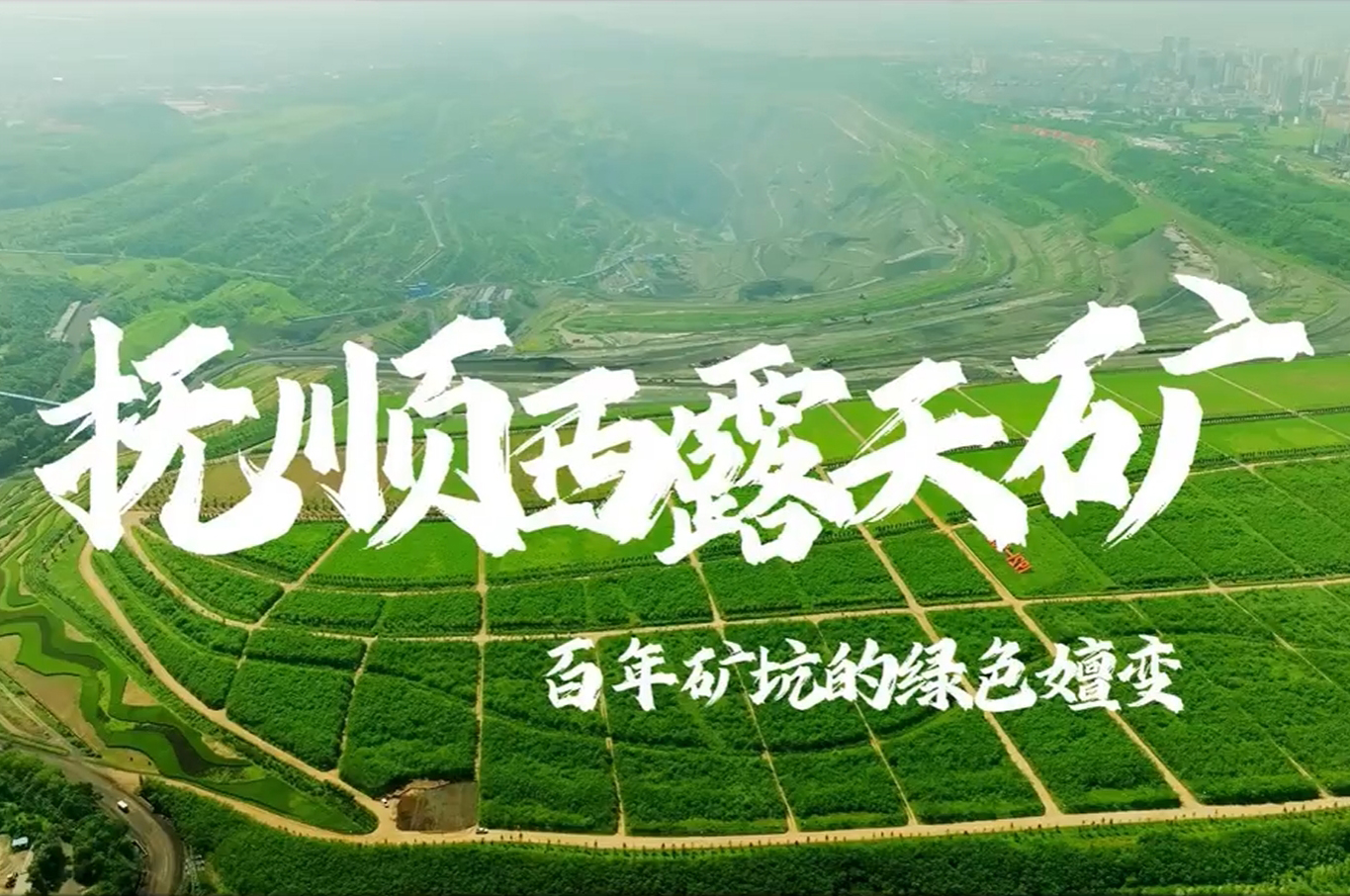 相关图片