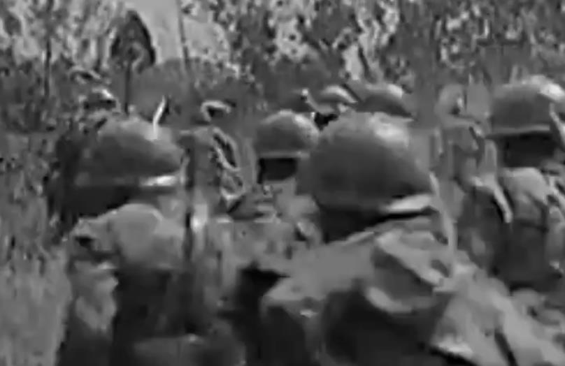 相关图片
