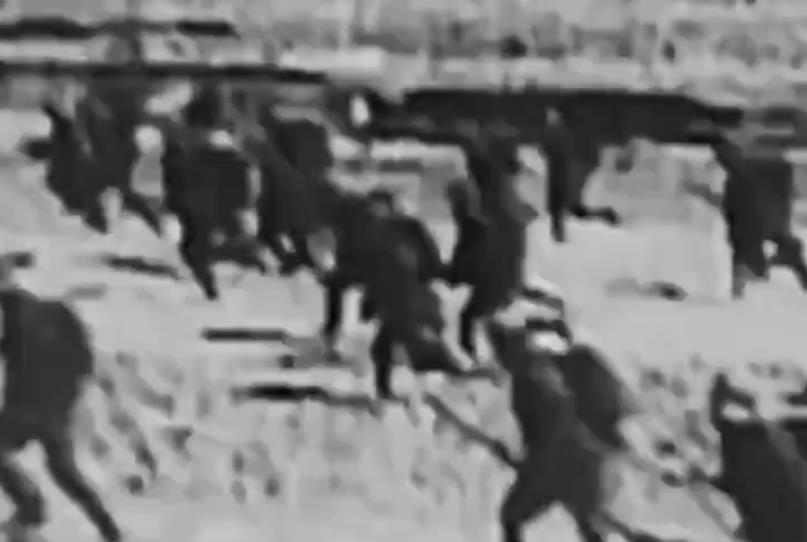 相关图片