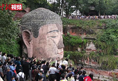 相关图片