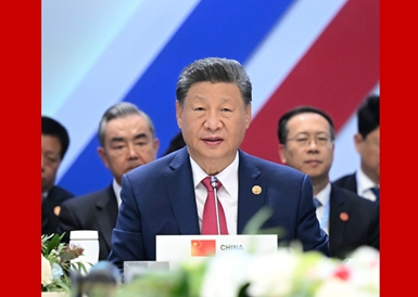 相关图片