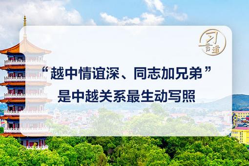 相关图片