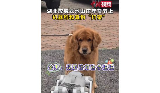 相关图片