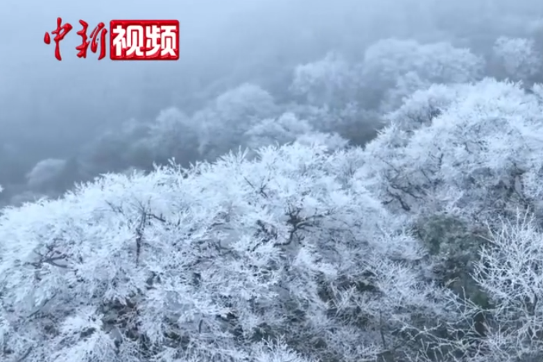 相关图片