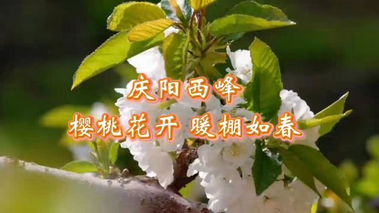 相关图片