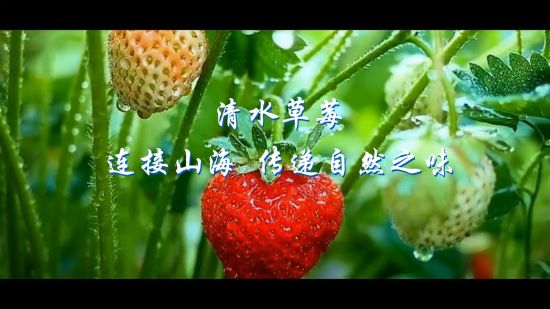 相关图片