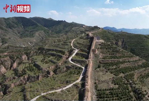 相关图片