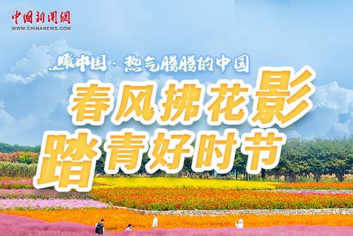 相关图片
