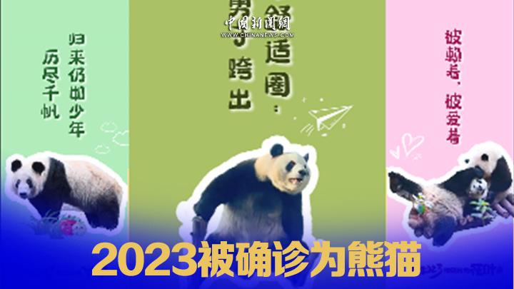 相关图片