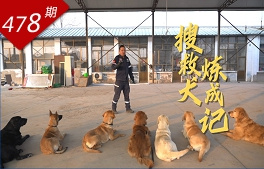 相关图片