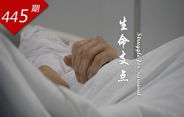 相关图片