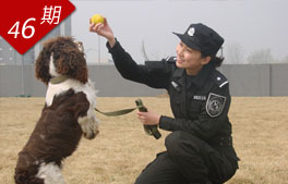 相关图片