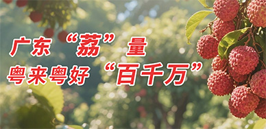 相关图片